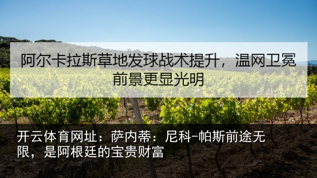 开云体育网址：萨内蒂：尼科-帕斯前途无限，是阿根廷的宝贵财富